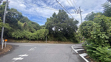 2023-08-18_09-02-12_407_thumb.jpg