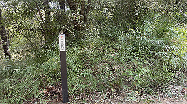 2023-08-16_09-56-56_462_thumb.jpg