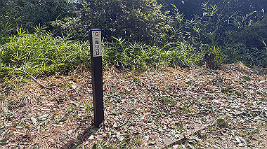 2023-08-16_09-59-04_774_thumb.jpg