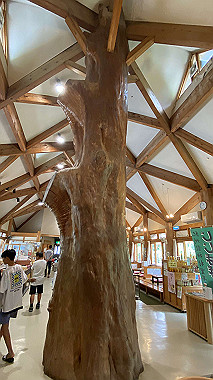 2023-08-23_13-03-57_707_thumb.jpg