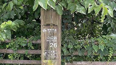 2023-08-23_15-06-34_490_thumb.jpg