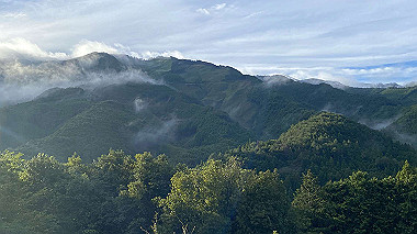 2023-08-24_06-36-13_219_thumb.jpg