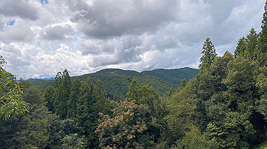 2023-08-24_11-04-25_731_thumb.jpg