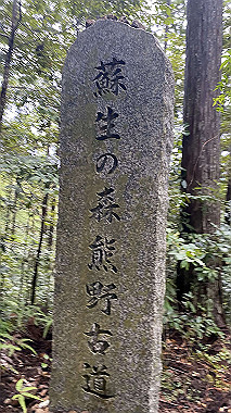 2023-08-24_11-06-57_057_thumb.jpg
