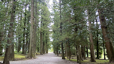 2023-08-24_12-40-42_446_thumb.jpg