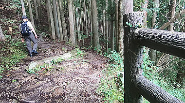 gx018958.mp4_snapshot_00.09_thumb.jpg