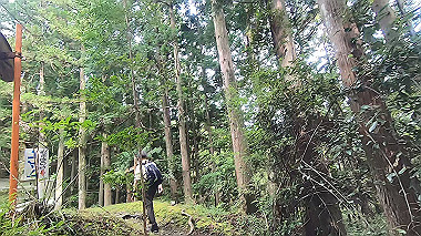 gx018959.mp4_snapshot_00.06_thumb.jpg