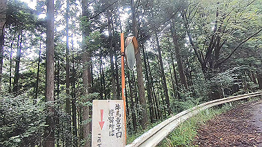 gx018959.mp4_snapshot_00.27_thumb.jpg