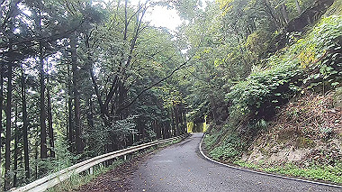 gx018959.mp4_snapshot_00.29_thumb.jpg