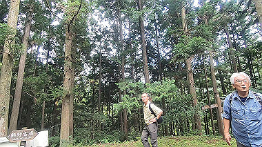 gx018959.mp4_snapshot_00.36_thumb.jpg