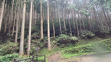 gx018960.mp4_snapshot_00.01_thumb.jpg