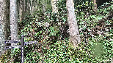 gx018960.mp4_snapshot_00.12_thumb.jpg