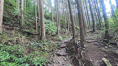 gx018961.mp4_snapshot_00.01_thumb.jpg