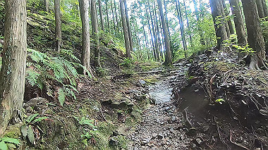gx018961.mp4_snapshot_00.14_thumb.jpg