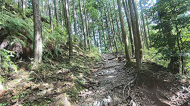 gx018961.mp4_snapshot_00.30_thumb.jpg