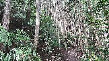 gx018961.mp4_snapshot_01.42_thumb.jpg