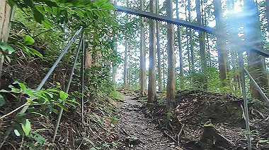gx018962.mp4_snapshot_00.47_thumb.jpg