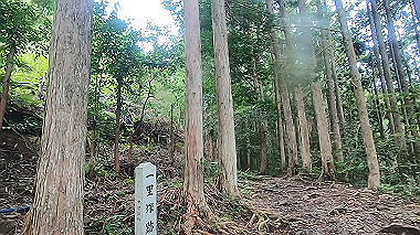 gx018962.mp4_snapshot_01.04_thumb.jpg