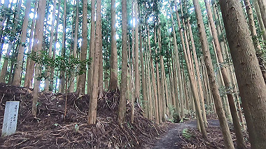 gx018963.mp4_snapshot_00.33_thumb.jpg