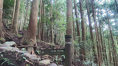 gx018963.mp4_snapshot_01.30_thumb.jpg