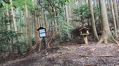 gx018963.mp4_snapshot_02.21_thumb.jpg