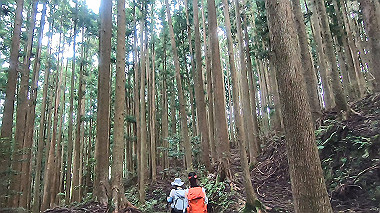 gx018964.mp4_snapshot_00.13_thumb.jpg