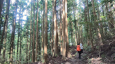 gx018964.mp4_snapshot_00.45_thumb.jpg