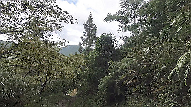 gx018964.mp4_snapshot_02.17_thumb.jpg