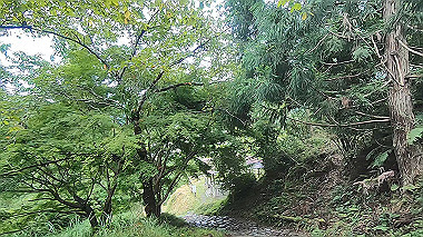 gx018964.mp4_snapshot_02.49_thumb.jpg