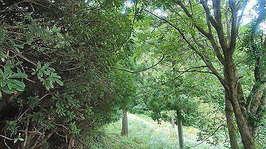 gx018965.mp4_snapshot_00.29_thumb.jpg