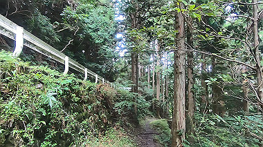 gx018966.mp4_snapshot_00.21_thumb.jpg