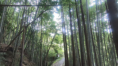 gx018966.mp4_snapshot_02.52_thumb.jpg