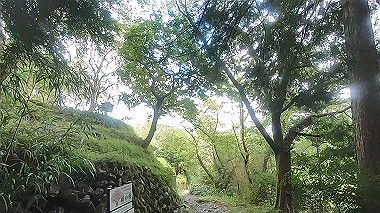 gx018966.mp4_snapshot_03.13_thumb.jpg
