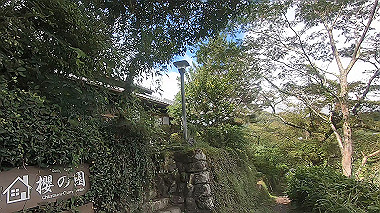 gx018966.mp4_snapshot_03.52_thumb.jpg
