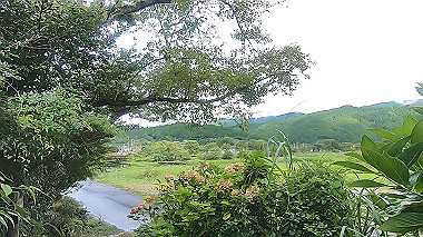 gx018966.mp4_snapshot_04.34_thumb.jpg