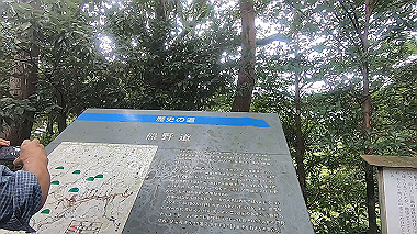 gx018969.mp4_snapshot_00.19_thumb.jpg
