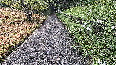 gx018972.mp4_snapshot_00.20_thumb.jpg