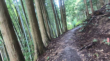 gx018975.mp4_snapshot_02.07_thumb.jpg