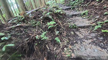 gx018975.mp4_snapshot_03.30_thumb.jpg