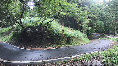 gx018976.mp4_snapshot_00.28_thumb.jpg