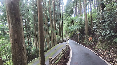 gx018977.mp4_snapshot_00.12_thumb.jpg