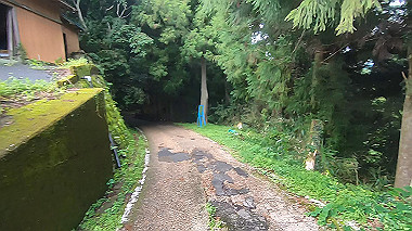 gx018980.mp4_snapshot_00.53_thumb.jpg