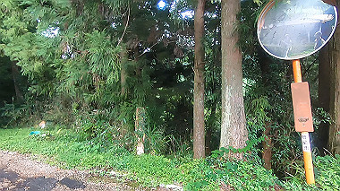 gx018980.mp4_snapshot_00.55_thumb.jpg