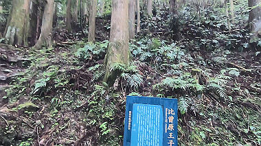 gx018982.mp4_snapshot_00.23_thumb.jpg