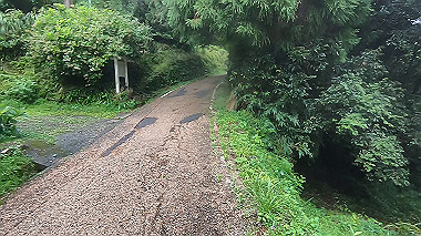 gx018983.mp4_snapshot_00.58_thumb.jpg
