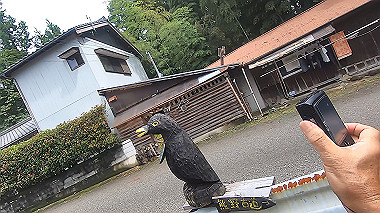 gx018994.mp4_snapshot_02.43_thumb.jpg
