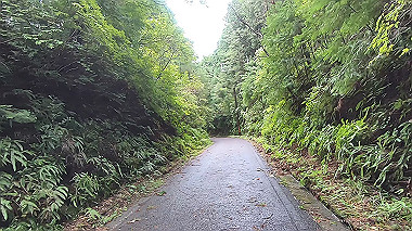 gx018995.mp4_snapshot_01.46_thumb.jpg