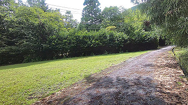gx018996.mp4_snapshot_00.03_thumb.jpg