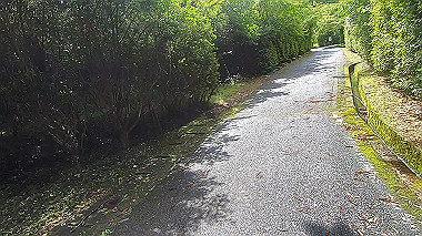 gx018996.mp4_snapshot_00.27_thumb.jpg