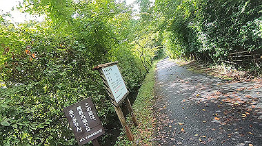gx018996.mp4_snapshot_01.21_thumb.jpg